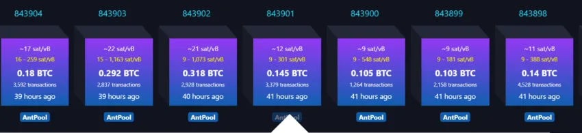 AntPool mina 7 bloques consecutivos. Fuente: Mempool.space