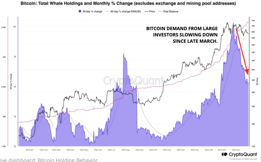 Cambio en el porcentaje de holding de ballenas Bitcoin. Fuente: CryptoQuant