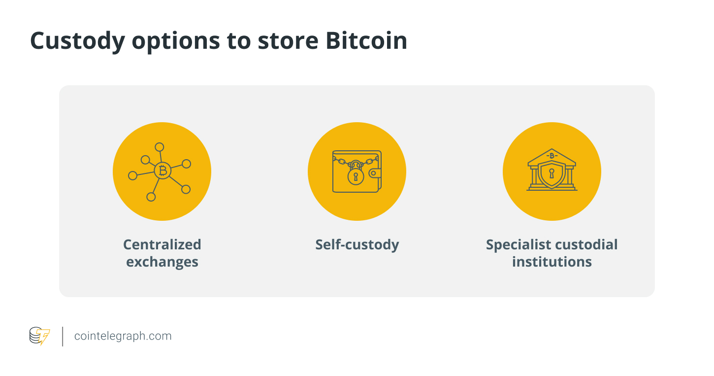 Custody options to store Bitcoin