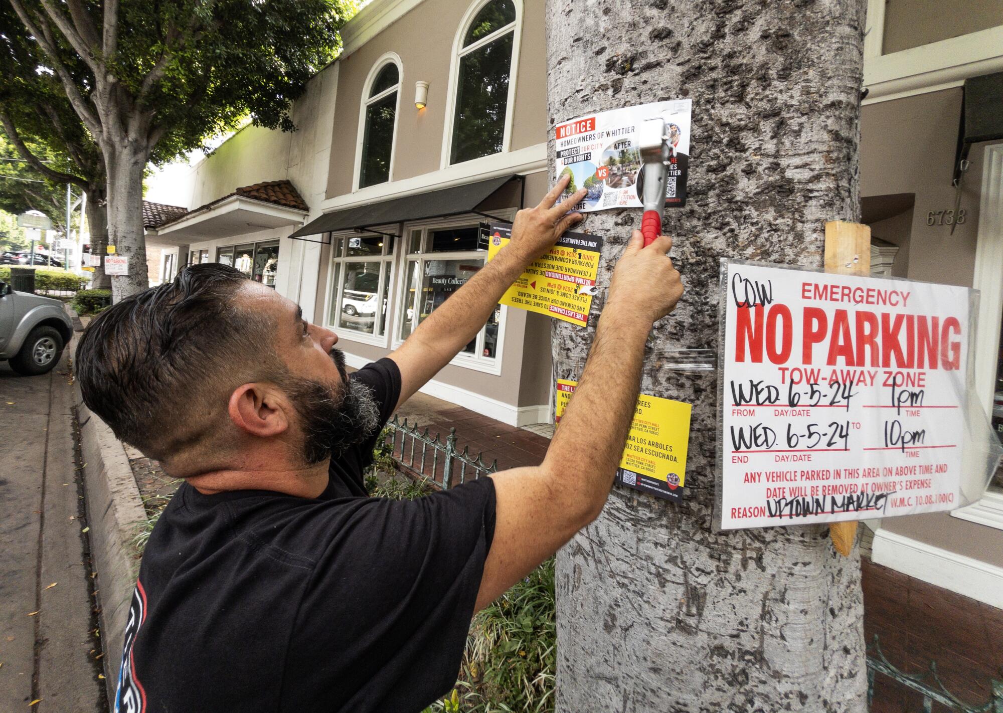 Una persona pone un cartel en un árbol.