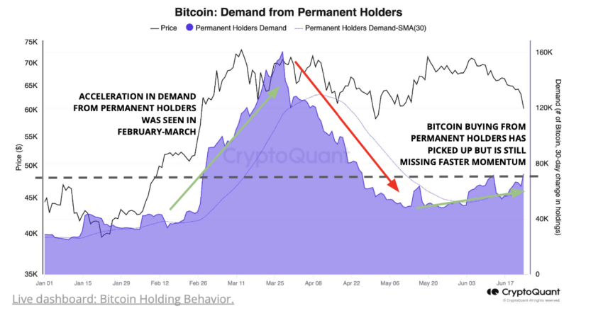 Demanda de Bitcoin por parte de holders permanentes. Fuente: CryptoQuant