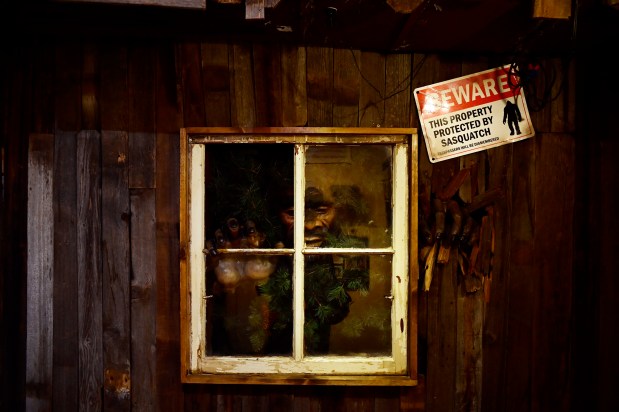 Un Sasquatch mira a través de una ventana exhibida en el Sasquatch Encounter Discovery Museum de The Sasquatch Outpost en Bailey, Colorado, el miércoles 26 de junio de 2024. (Foto de Hyoung Chang/The Denver Post)