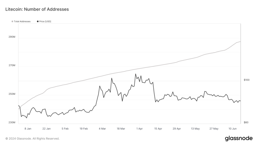 Litecoin: Número de Direcciones.  Fuente: Glassnode