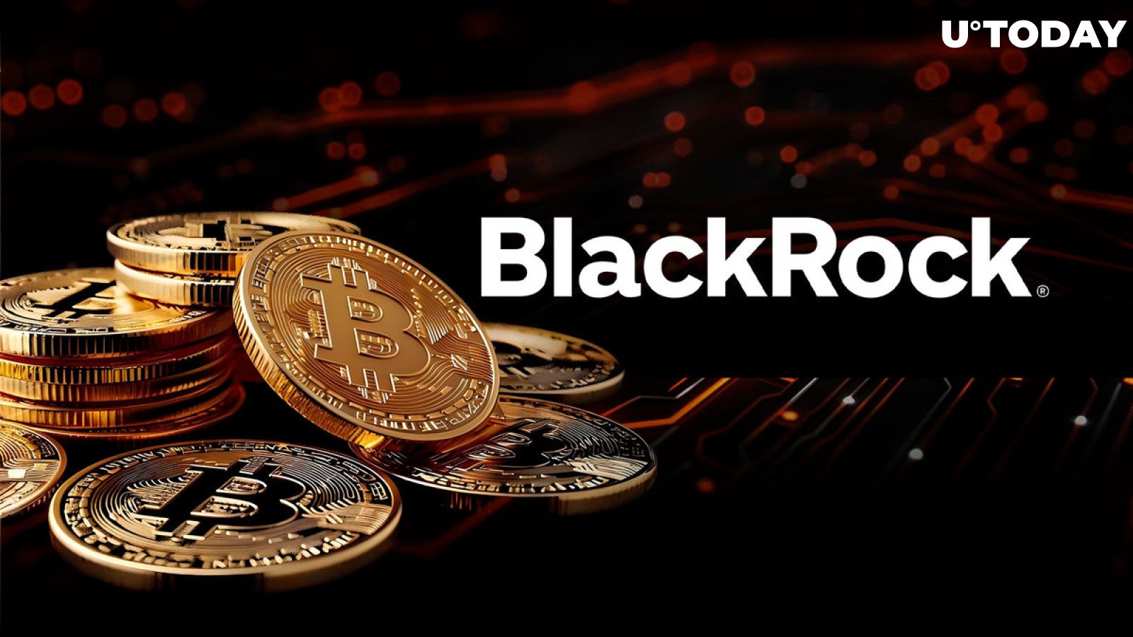 BlackRock no vendió durante la caída del mercado de criptomonedas: detalles