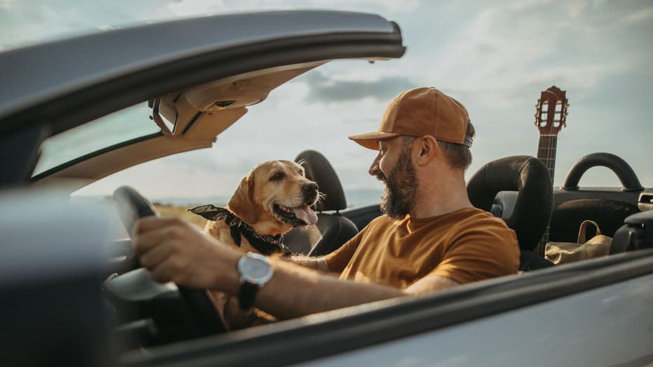 Hombre conduciendo un descapotable con perro en el asiento del pasajero