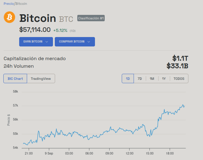 Rendimiento del precio de Bitcoin - 24 horas