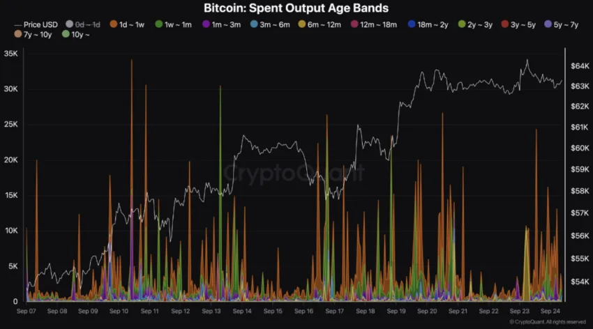 Las ballenas han movido los viejos BTC, gracias a su recuperación de precio. Fuente: CryptoQuant