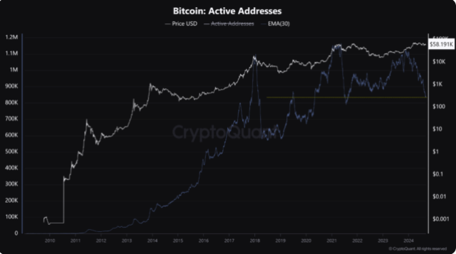 Informe de Bitcoin PrimeXBT