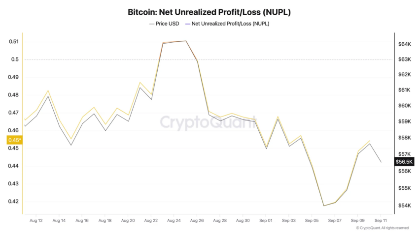 Ganancias y pérdidas netas no realizadas de Bitcoin. 