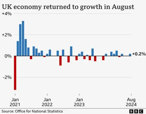 Gráfico que muestra el desempeño de la economía para cada mes desde 2021 hasta agosto de 2024. 