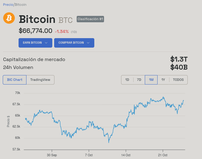 Evolución del precio de Bitcoin - 1 mes