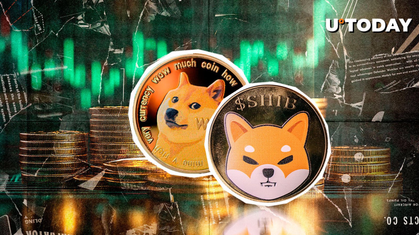 DOGE y SHIB dominan el mercado criptográfico con 5 meses de actividad social alta