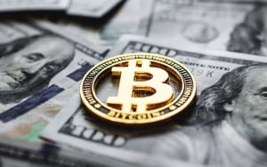 Invertir sólo 1.000 dólares en Bitcoin hace 14 años habría resultado en una fortuna enorme