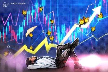 El 80% de las memecoins subieron después de ser listadas en Binance en 2024