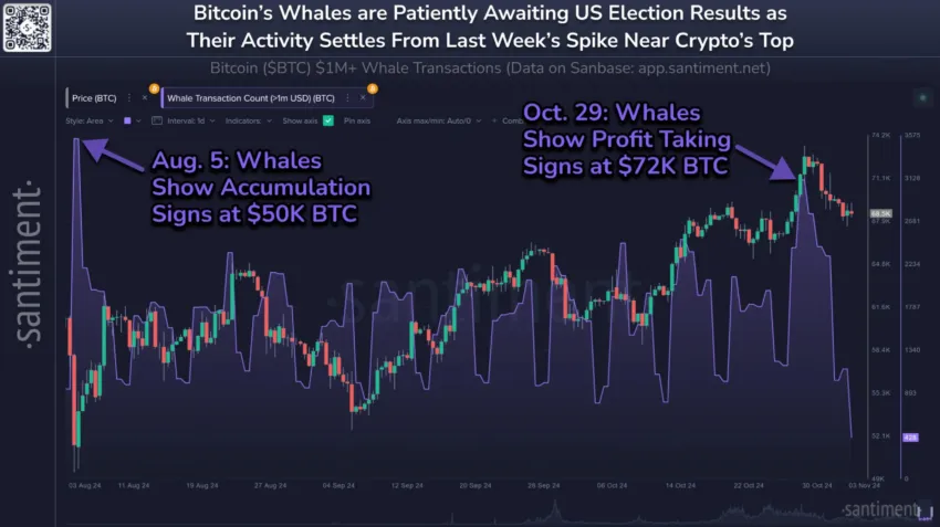 Transacciones de ballenas de Bitcoin. 