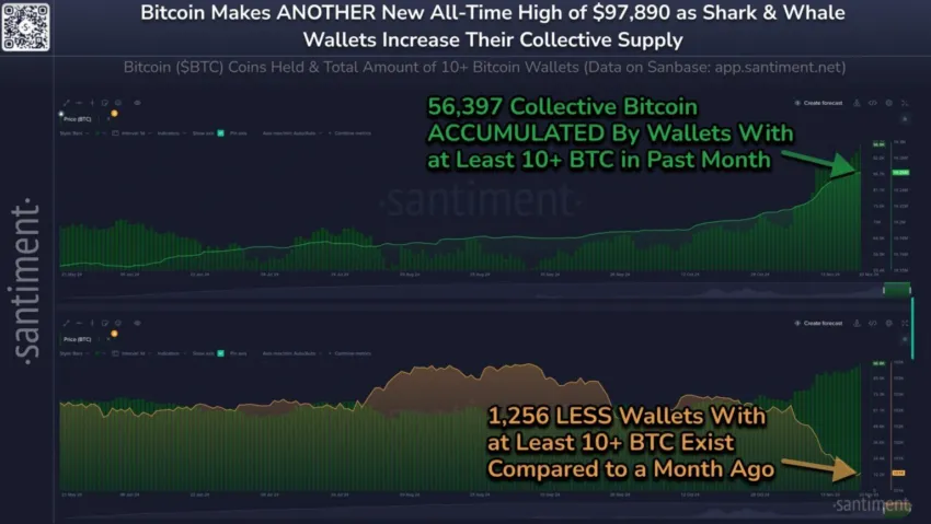 Direcciones de Ballenas de Bitcoin y Acumulación. Fuente: Santiment