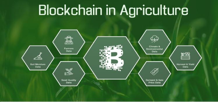 Blockchain en la agricultura y la cadena de suministro de alimentos Tamaño, participación y pronóstico del mercado