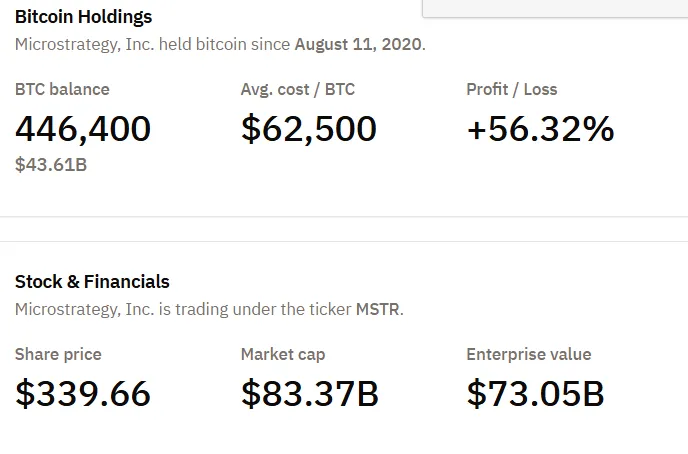 MicroStrategy Bitcoin Holdings.